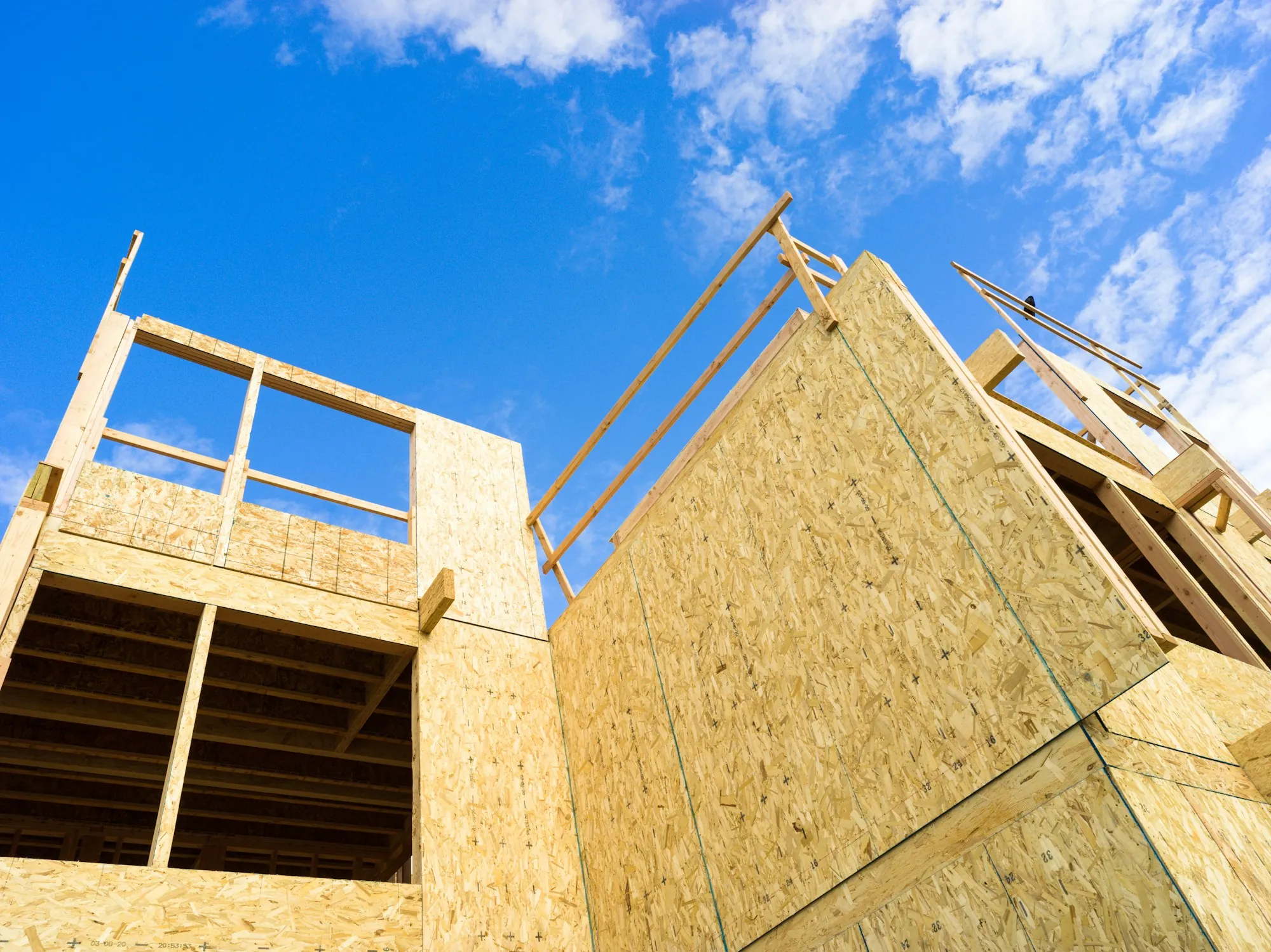 Plywood-sheathed wall framing for a new addition against a blue sky
